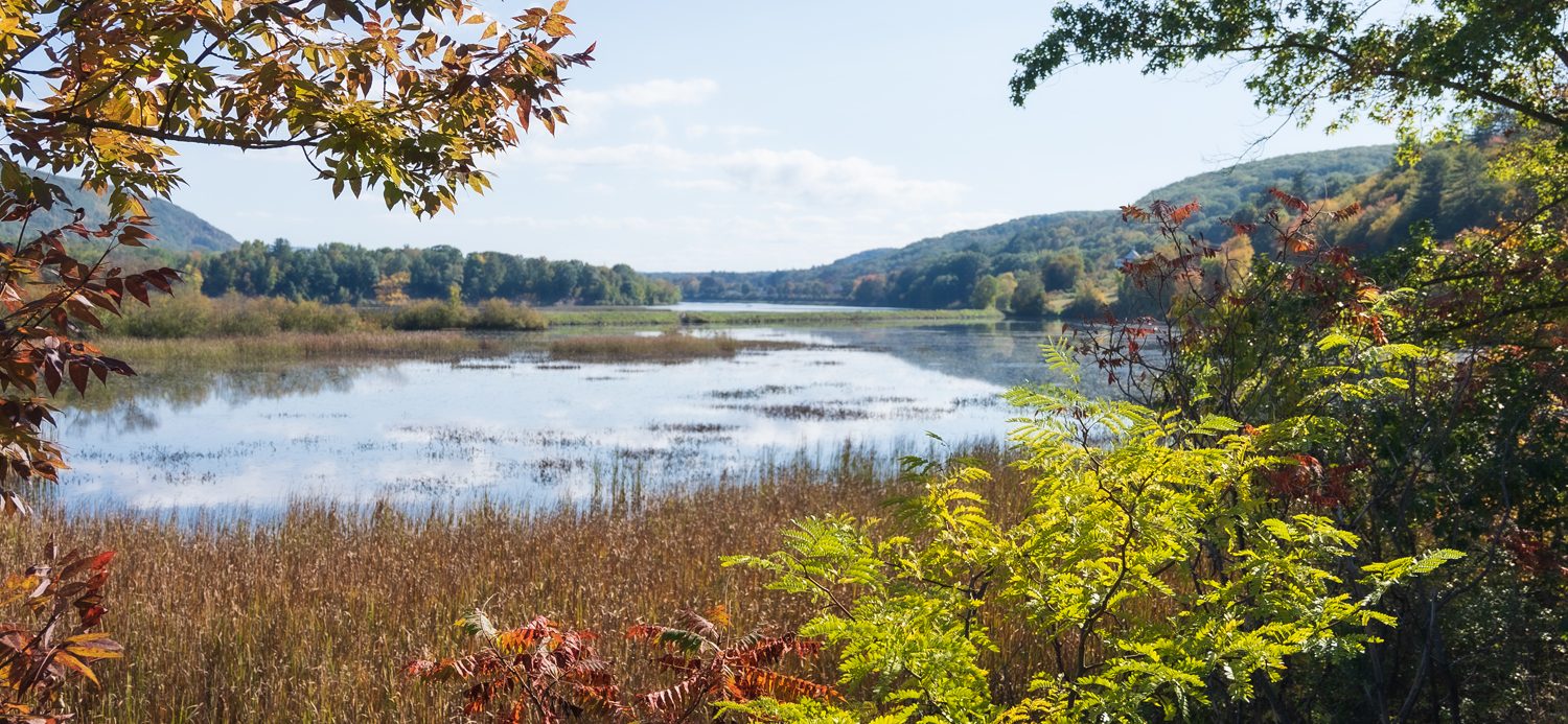 Connecticut River, Rockingham, VT. 
Shot by Sarr Sheffer August 2022